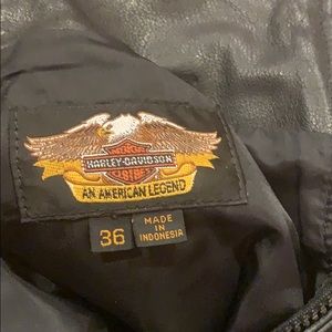 Harley Davidson leather riding pants